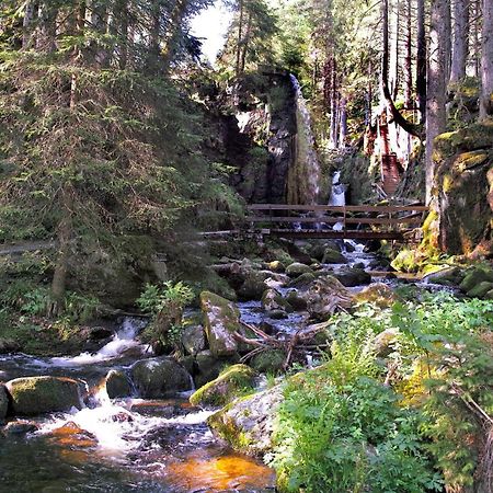 C4 Albmatte-Fewo Sauna, Hallenbad Aussenbecken Massagen Nebenan Menzenschwand-Hinterdorf Dış mekan fotoğraf