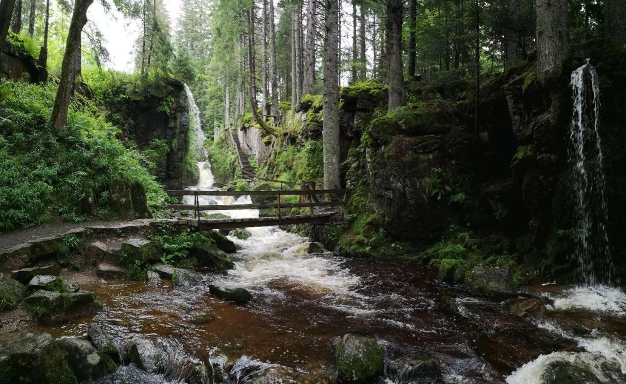 C4 Albmatte-Fewo Sauna, Hallenbad Aussenbecken Massagen Nebenan Menzenschwand-Hinterdorf Dış mekan fotoğraf