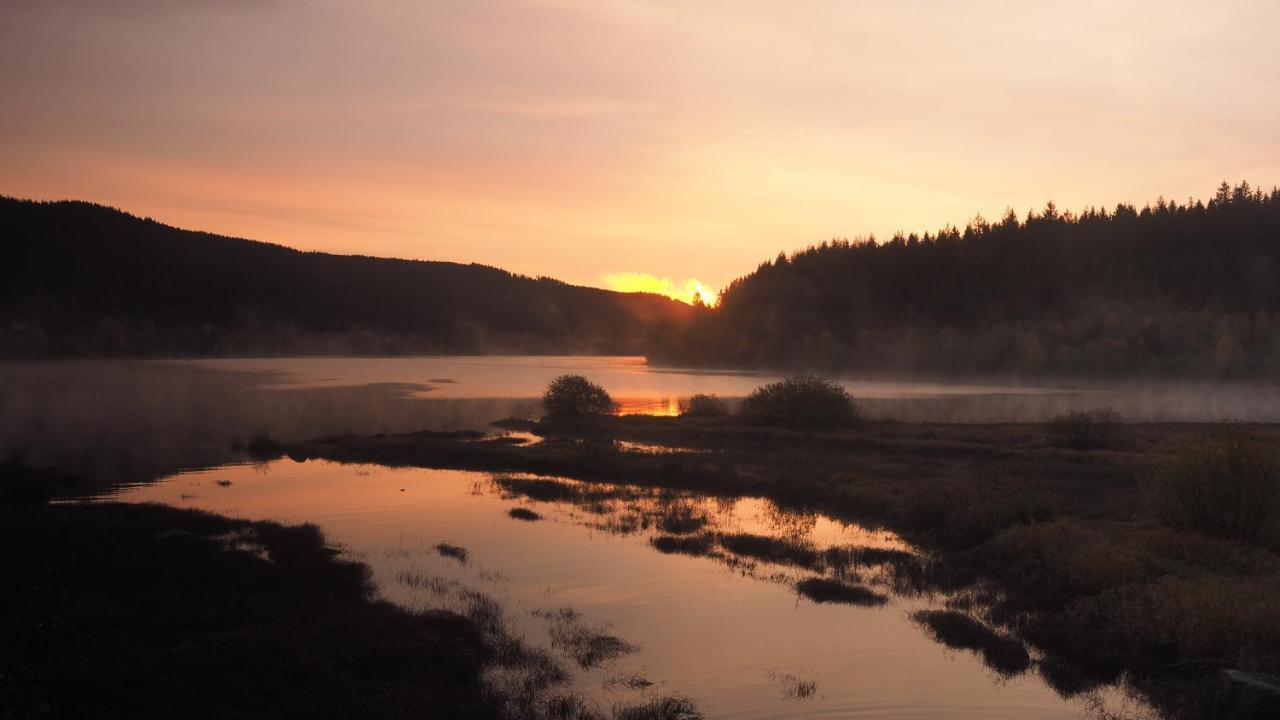 C4 Albmatte-Fewo Sauna, Hallenbad Aussenbecken Massagen Nebenan Menzenschwand-Hinterdorf Dış mekan fotoğraf