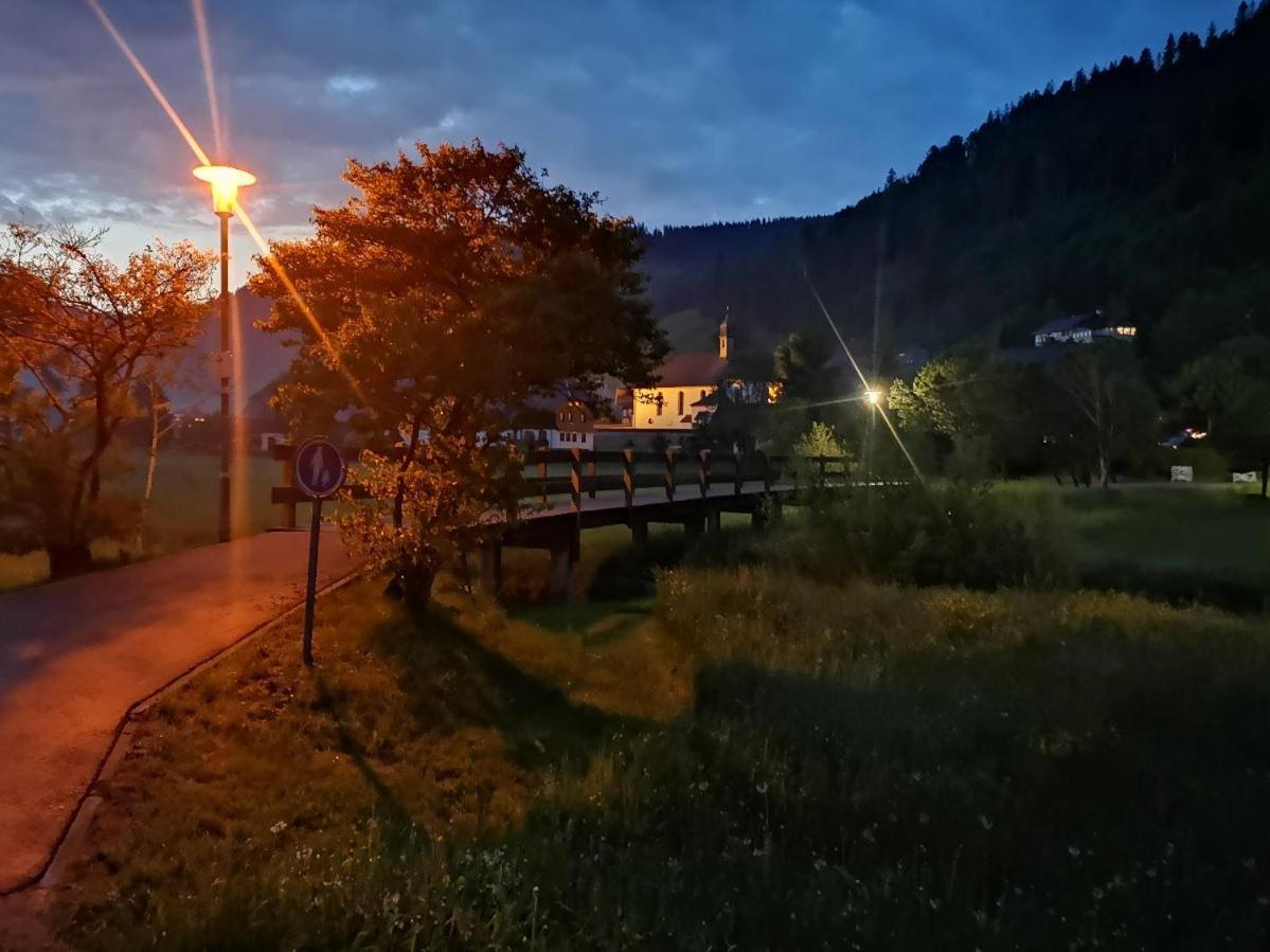 C4 Albmatte-Fewo Sauna, Hallenbad Aussenbecken Massagen Nebenan Menzenschwand-Hinterdorf Dış mekan fotoğraf