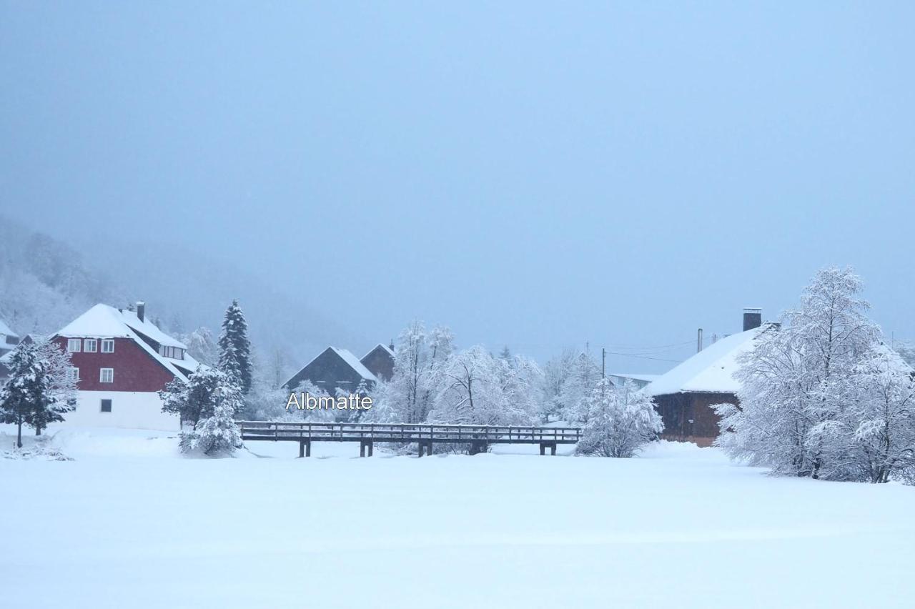 C4 Albmatte-Fewo Sauna, Hallenbad Aussenbecken Massagen Nebenan Menzenschwand-Hinterdorf Dış mekan fotoğraf