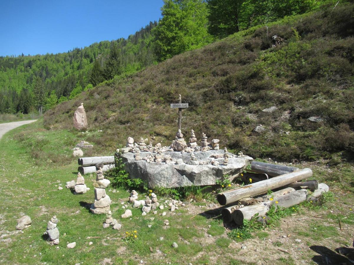 C4 Albmatte-Fewo Sauna, Hallenbad Aussenbecken Massagen Nebenan Menzenschwand-Hinterdorf Dış mekan fotoğraf