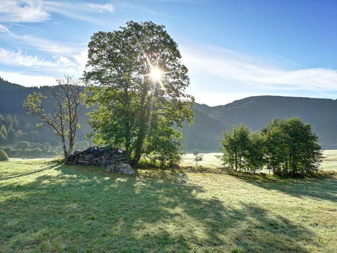 C4 Albmatte-Fewo Sauna, Hallenbad Aussenbecken Massagen Nebenan Menzenschwand-Hinterdorf Dış mekan fotoğraf