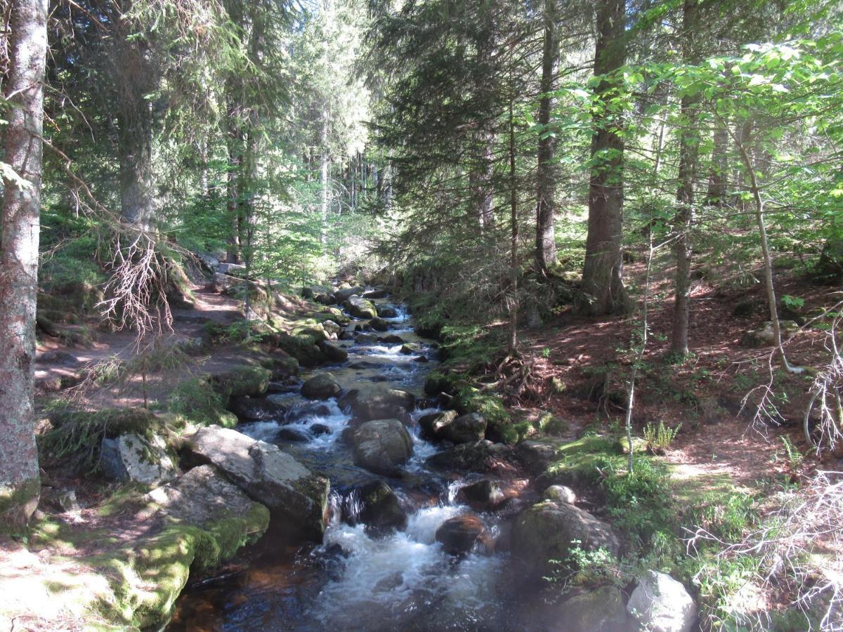 C4 Albmatte-Fewo Sauna, Hallenbad Aussenbecken Massagen Nebenan Menzenschwand-Hinterdorf Dış mekan fotoğraf