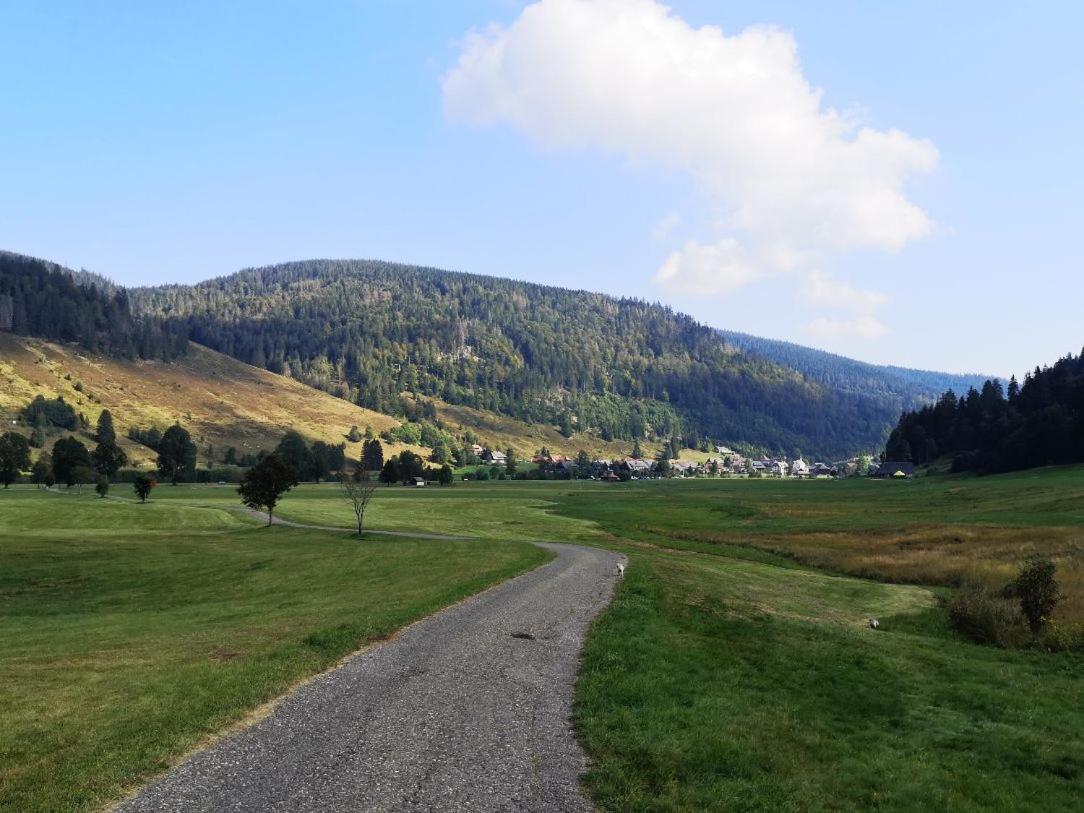 C4 Albmatte-Fewo Sauna, Hallenbad Aussenbecken Massagen Nebenan Menzenschwand-Hinterdorf Dış mekan fotoğraf