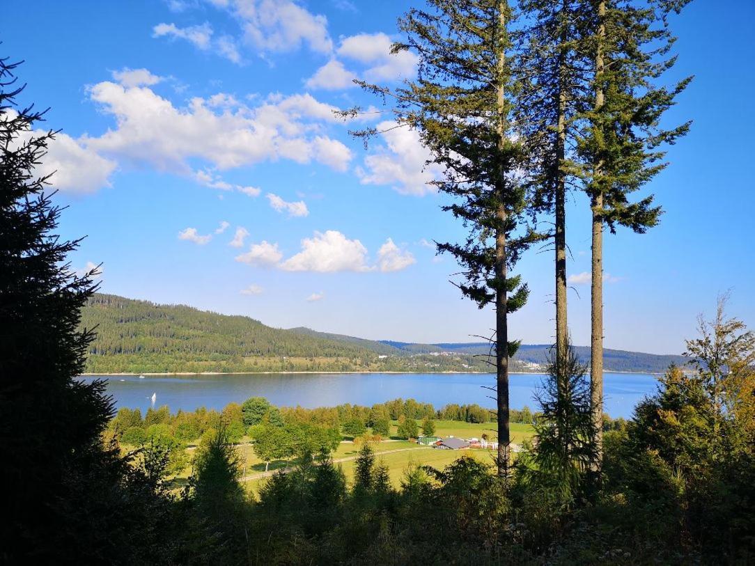 C4 Albmatte-Fewo Sauna, Hallenbad Aussenbecken Massagen Nebenan Menzenschwand-Hinterdorf Dış mekan fotoğraf