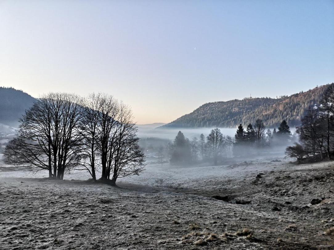 C4 Albmatte-Fewo Sauna, Hallenbad Aussenbecken Massagen Nebenan Menzenschwand-Hinterdorf Dış mekan fotoğraf