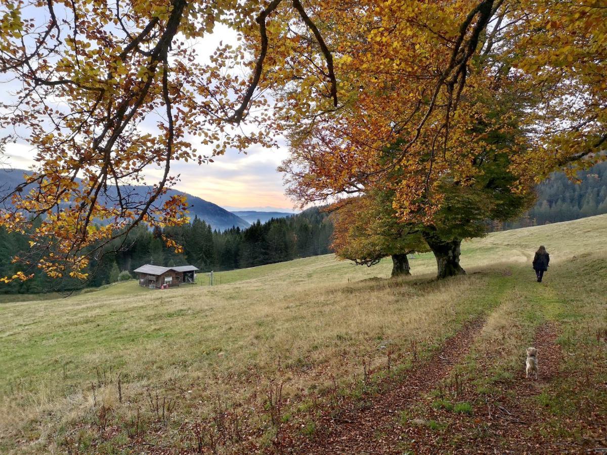 C4 Albmatte-Fewo Sauna, Hallenbad Aussenbecken Massagen Nebenan Menzenschwand-Hinterdorf Dış mekan fotoğraf