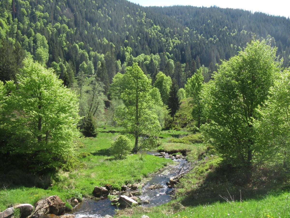 C4 Albmatte-Fewo Sauna, Hallenbad Aussenbecken Massagen Nebenan Menzenschwand-Hinterdorf Dış mekan fotoğraf