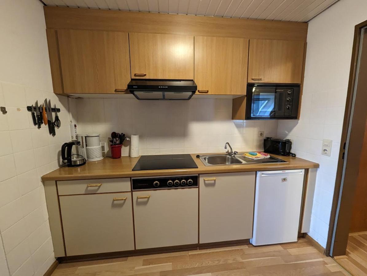 C4 Albmatte-Fewo Sauna, Hallenbad Aussenbecken Massagen Nebenan Menzenschwand-Hinterdorf Dış mekan fotoğraf
