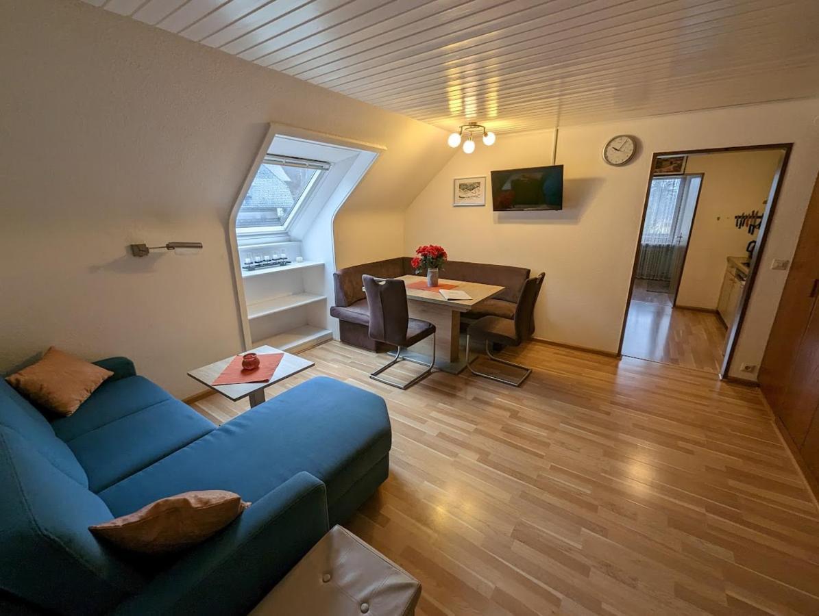 C4 Albmatte-Fewo Sauna, Hallenbad Aussenbecken Massagen Nebenan Menzenschwand-Hinterdorf Dış mekan fotoğraf