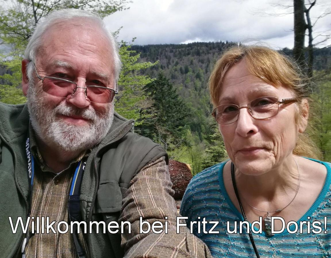 C4 Albmatte-Fewo Sauna, Hallenbad Aussenbecken Massagen Nebenan Menzenschwand-Hinterdorf Dış mekan fotoğraf