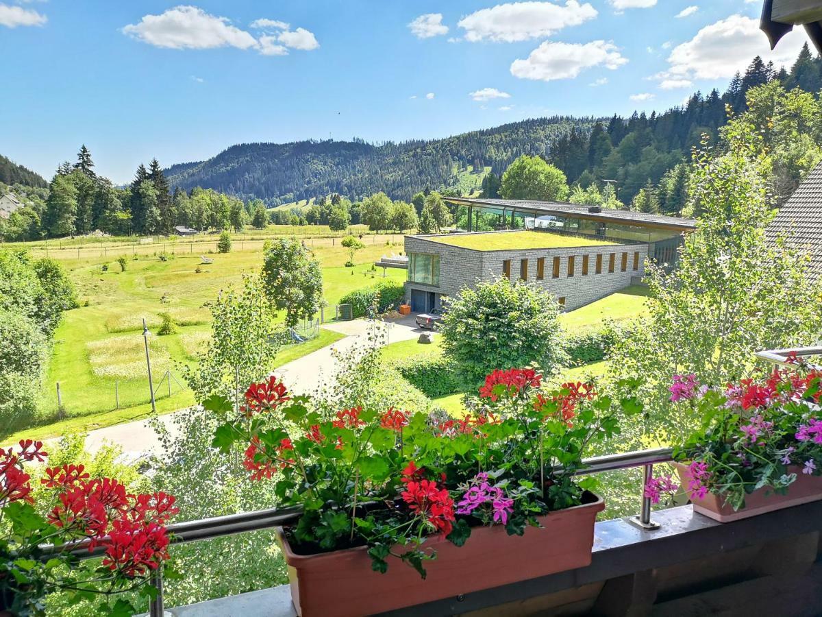 C4 Albmatte-Fewo Sauna, Hallenbad Aussenbecken Massagen Nebenan Menzenschwand-Hinterdorf Dış mekan fotoğraf
