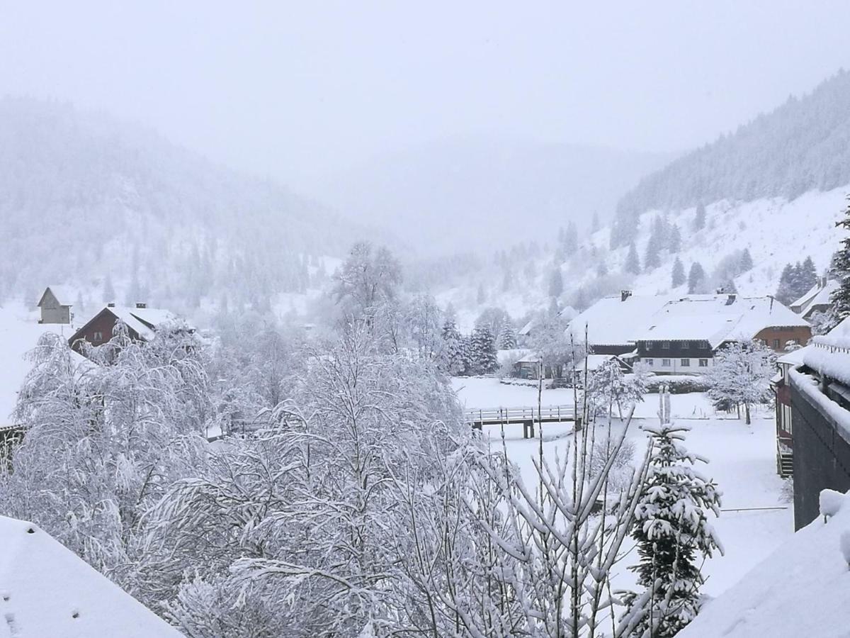 C4 Albmatte-Fewo Sauna, Hallenbad Aussenbecken Massagen Nebenan Menzenschwand-Hinterdorf Dış mekan fotoğraf