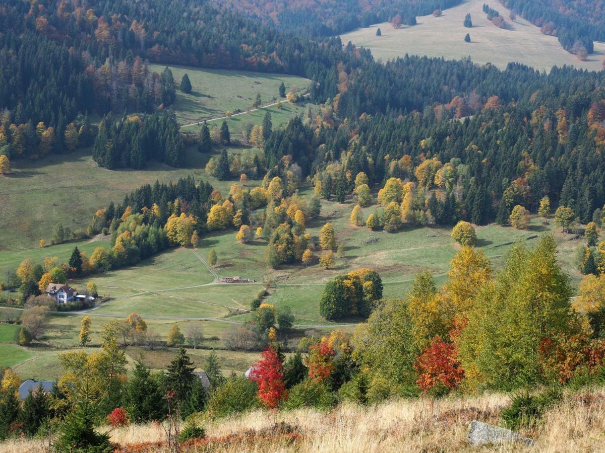 C4 Albmatte-Fewo Sauna, Hallenbad Aussenbecken Massagen Nebenan Menzenschwand-Hinterdorf Dış mekan fotoğraf