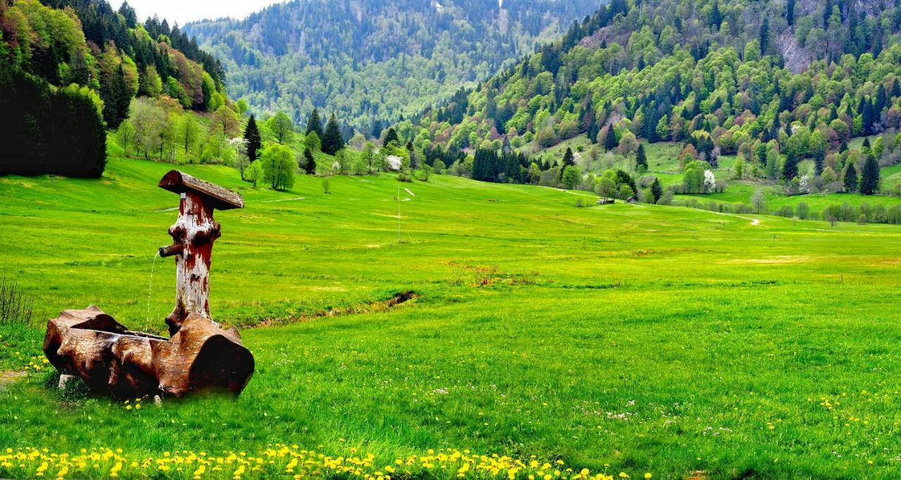 C4 Albmatte-Fewo Sauna, Hallenbad Aussenbecken Massagen Nebenan Menzenschwand-Hinterdorf Dış mekan fotoğraf