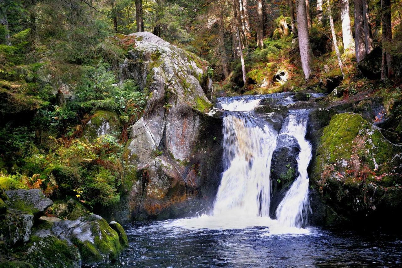 C4 Albmatte-Fewo Sauna, Hallenbad Aussenbecken Massagen Nebenan Menzenschwand-Hinterdorf Dış mekan fotoğraf