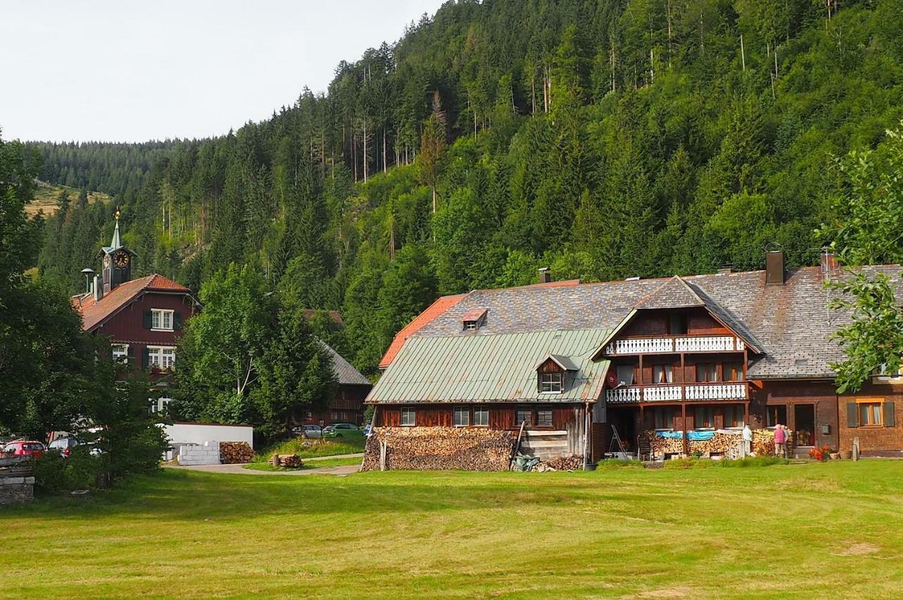 C4 Albmatte-Fewo Sauna, Hallenbad Aussenbecken Massagen Nebenan Menzenschwand-Hinterdorf Dış mekan fotoğraf