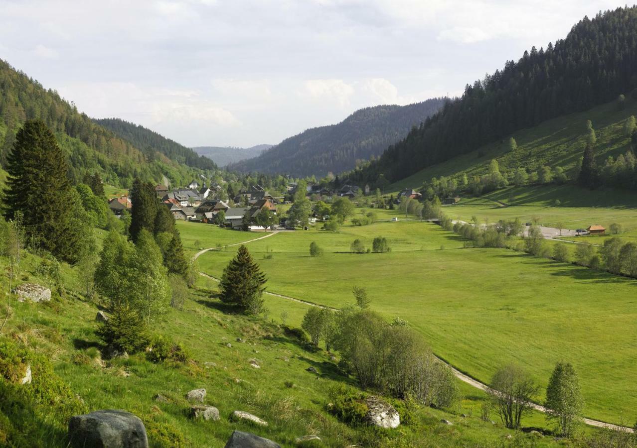C4 Albmatte-Fewo Sauna, Hallenbad Aussenbecken Massagen Nebenan Menzenschwand-Hinterdorf Dış mekan fotoğraf