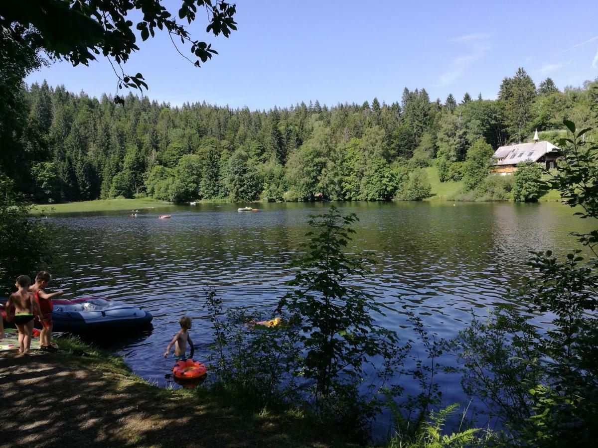 C4 Albmatte-Fewo Sauna, Hallenbad Aussenbecken Massagen Nebenan Menzenschwand-Hinterdorf Dış mekan fotoğraf