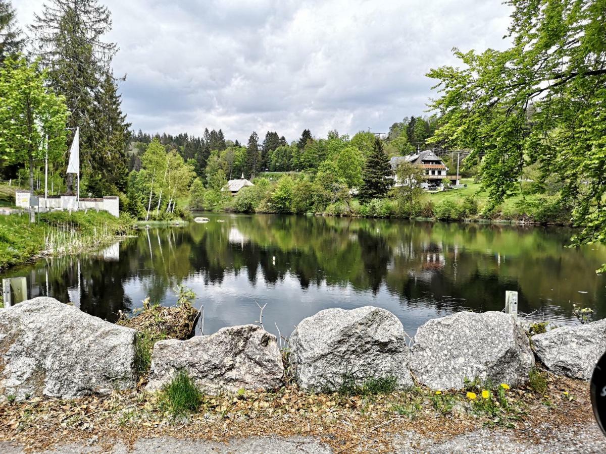 C4 Albmatte-Fewo Sauna, Hallenbad Aussenbecken Massagen Nebenan Menzenschwand-Hinterdorf Dış mekan fotoğraf