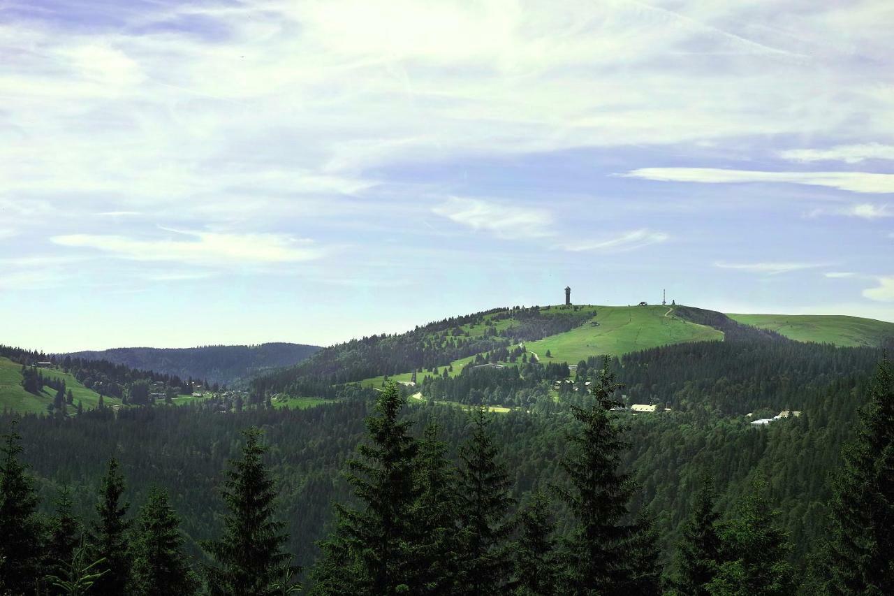 C4 Albmatte-Fewo Sauna, Hallenbad Aussenbecken Massagen Nebenan Menzenschwand-Hinterdorf Dış mekan fotoğraf