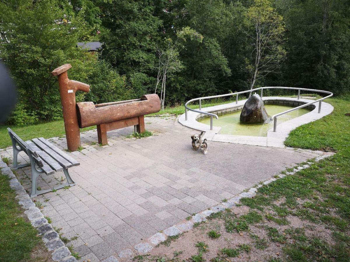 C4 Albmatte-Fewo Sauna, Hallenbad Aussenbecken Massagen Nebenan Menzenschwand-Hinterdorf Dış mekan fotoğraf