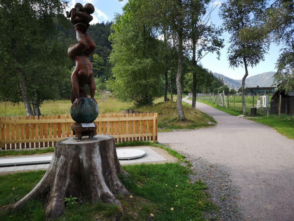 C4 Albmatte-Fewo Sauna, Hallenbad Aussenbecken Massagen Nebenan Menzenschwand-Hinterdorf Dış mekan fotoğraf